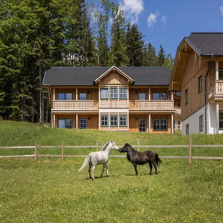 Near & Lift Грундльзее