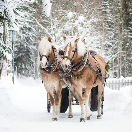 Дом отдыха Near & Lift Грундльзее