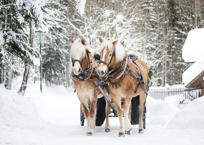 度假居 Near & Lift 格伦德尔湖